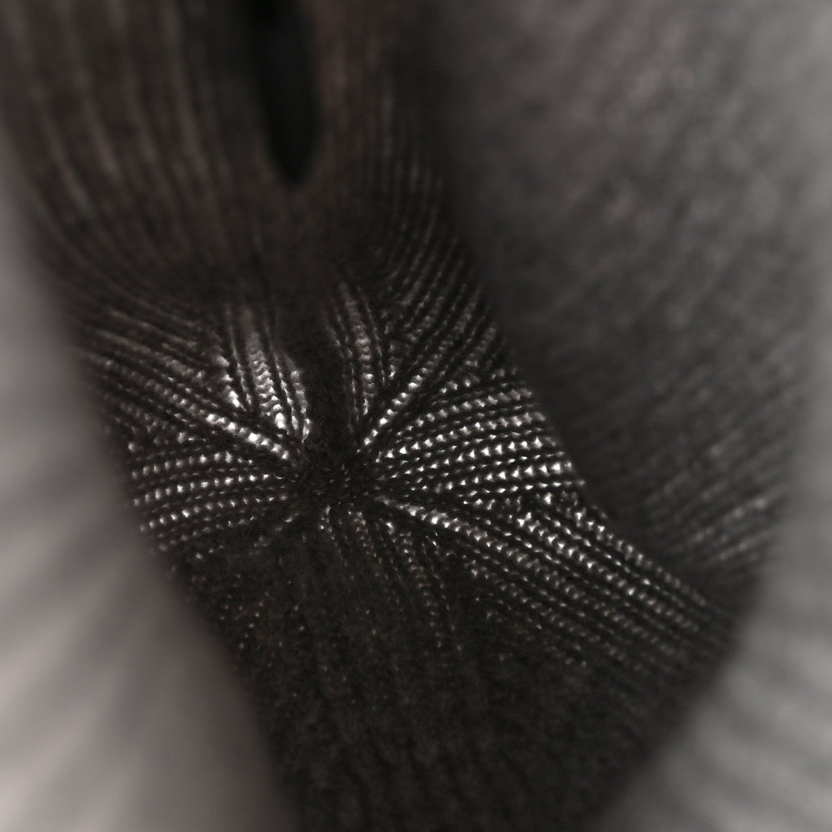 Cashmere Mens LV Ahead Beanie Gris
